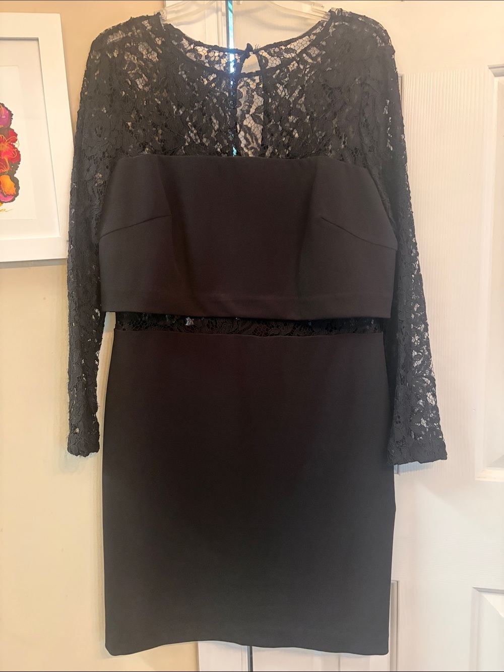 Adrianna Papell Black Lace Yoke Cocktail Dress